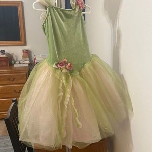 Gorgeous ballet costume